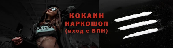 гашик Белокуриха