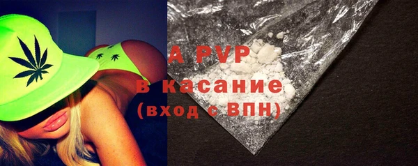гашик Белокуриха