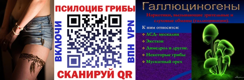 Купить  Коммунар  Галлюциногенные грибы Psilocybine cubensis 